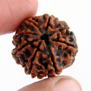Three Mukhi